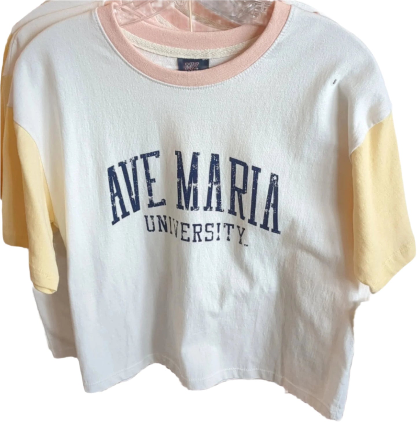Ave Maria University Brynlee Colorblock Shortsleeve Boyfriend Tee