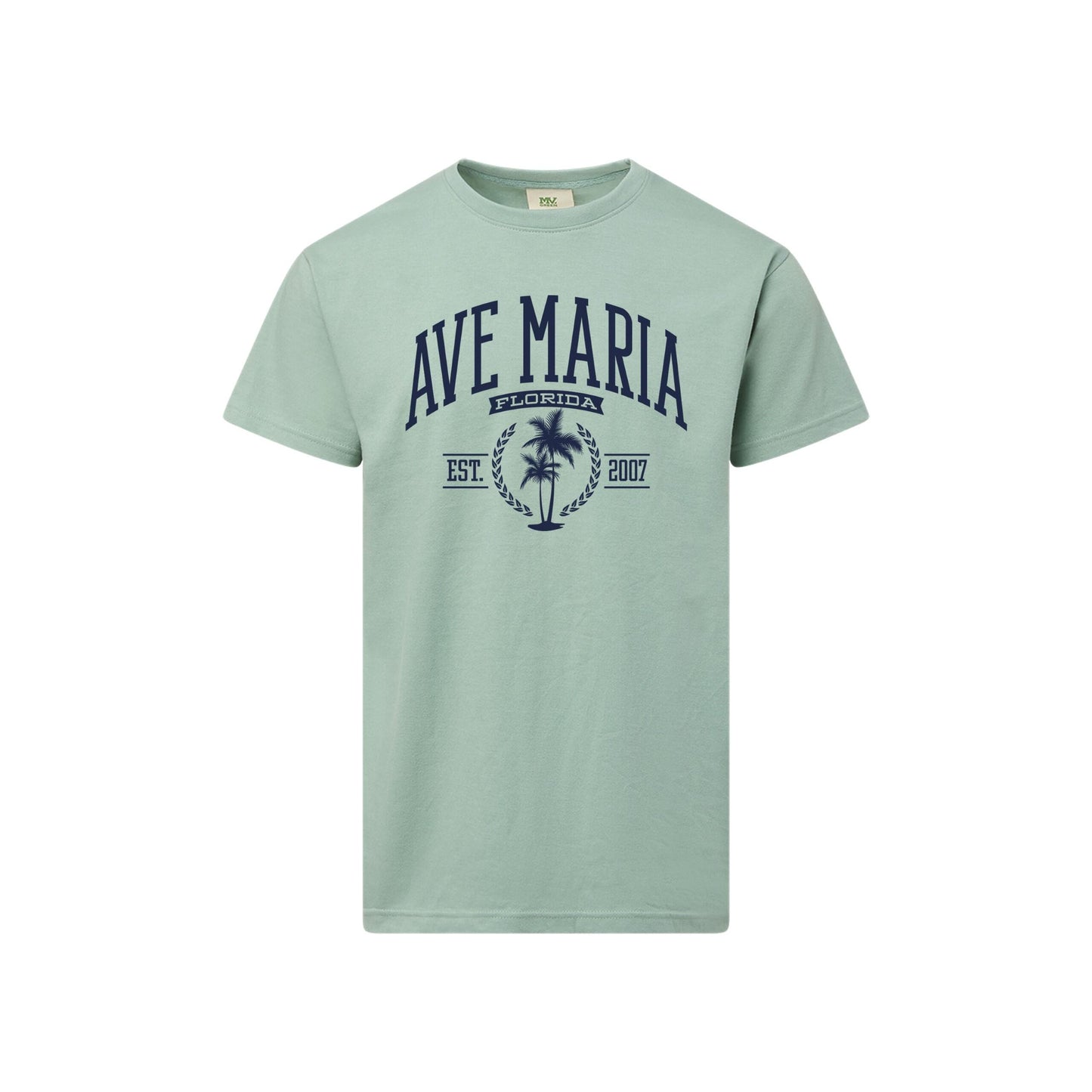 Ave Maria FL - Palm Trees - Everest Sustainable
