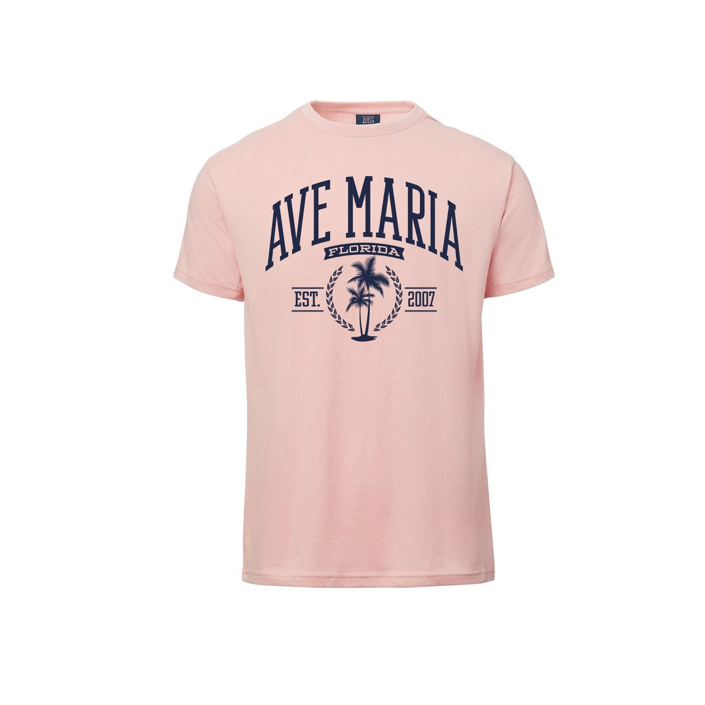 Ave Maria FL - Palm Trees - Everest Sustainable