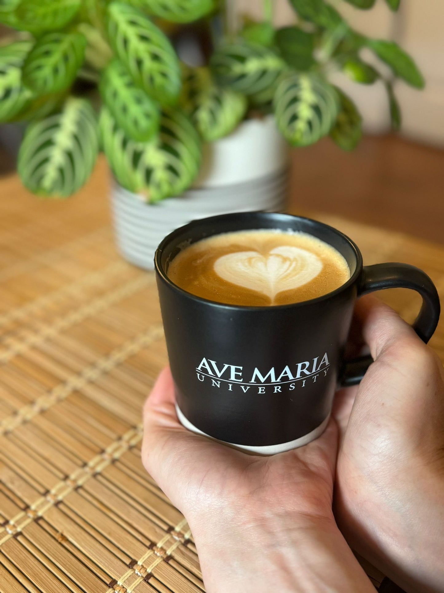 Ave Maria University Black Mug
