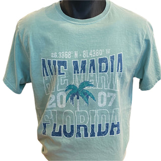 Ave Maria Florida 2007 Palm Short Sleeve Tee