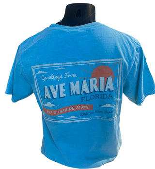 Greetings from The Sunshine State Tee- Blue84