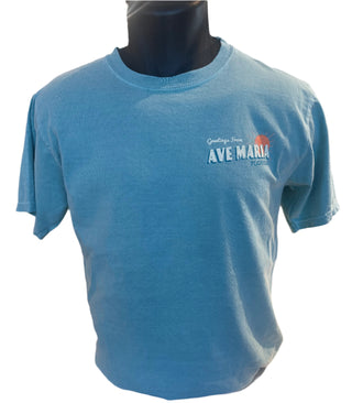 Greetings from The Sunshine State Tee- Blue84