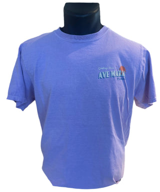 Greetings from The Sunshine State Tee- Blue84
