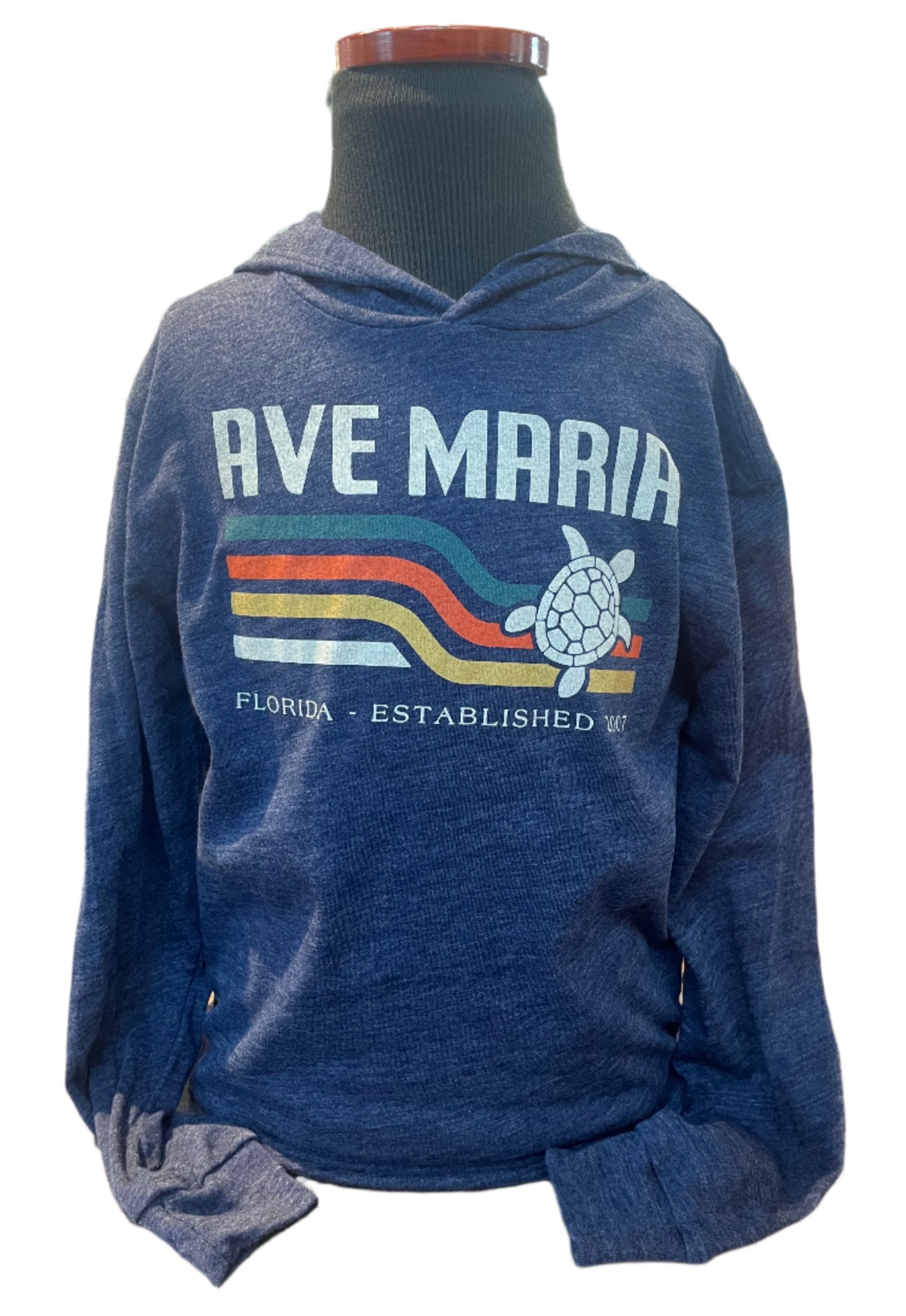 Retro Sea Turltle - Ave Maria FL - Youth Tees