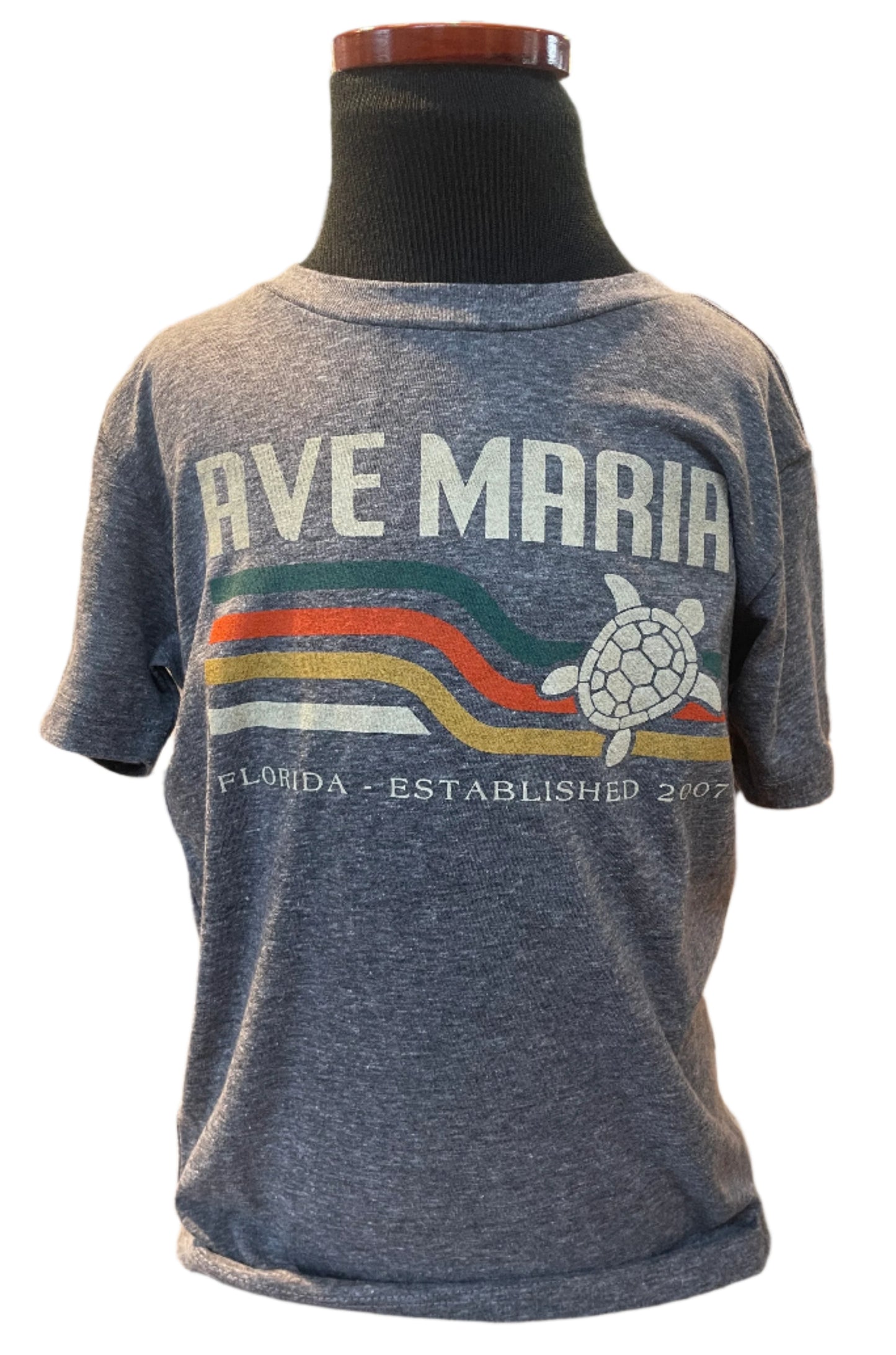 Retro Sea Turltle - Ave Maria FL - Youth Tees