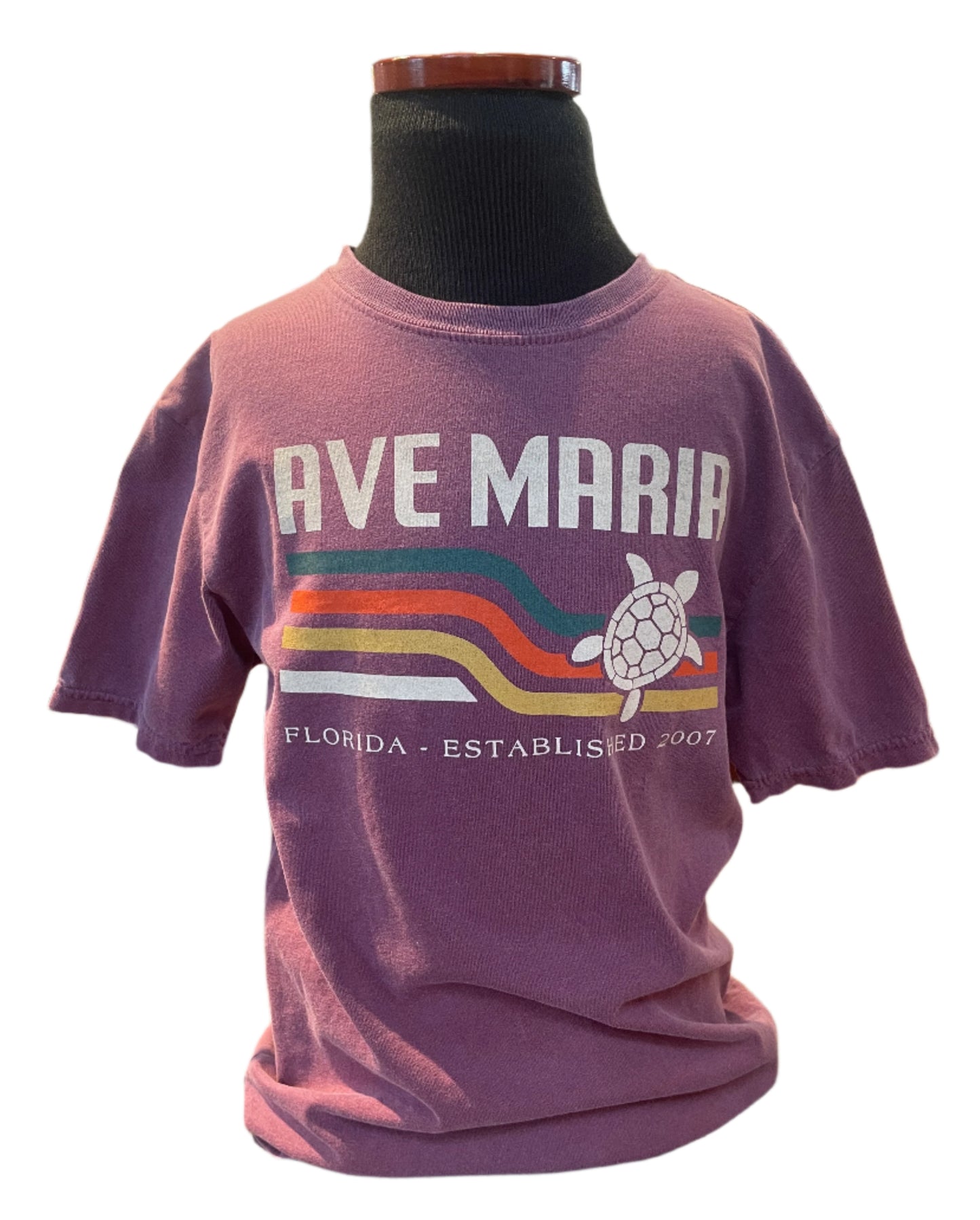 Retro Sea Turltle - Ave Maria FL - Youth Tees