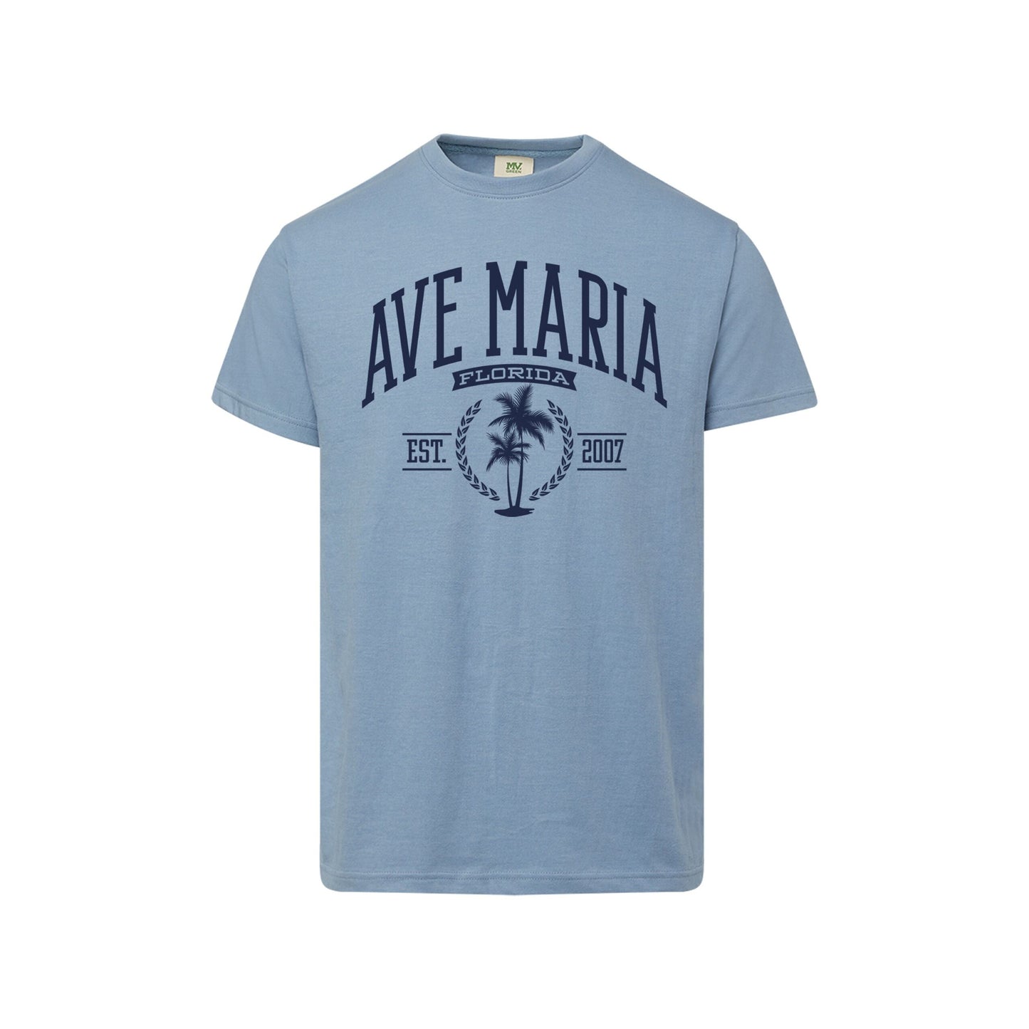 Ave Maria FL - Palm Trees - Everest Sustainable