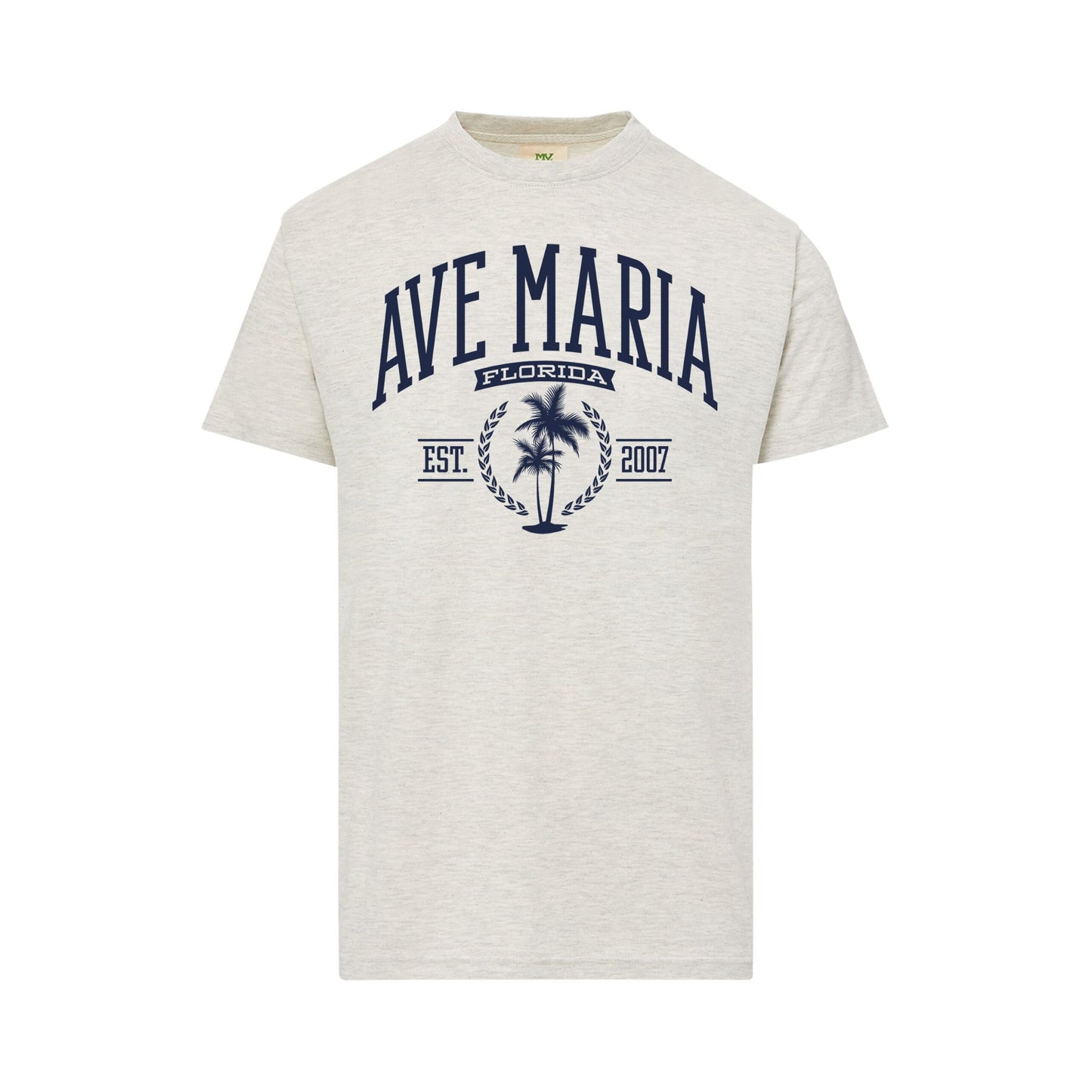 Ave Maria FL - Palm Trees - Everest Sustainable