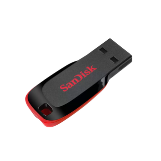Sandisk Flash Drives