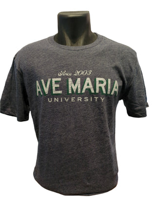 Ave Maria University - Comatose - Triblend Tee