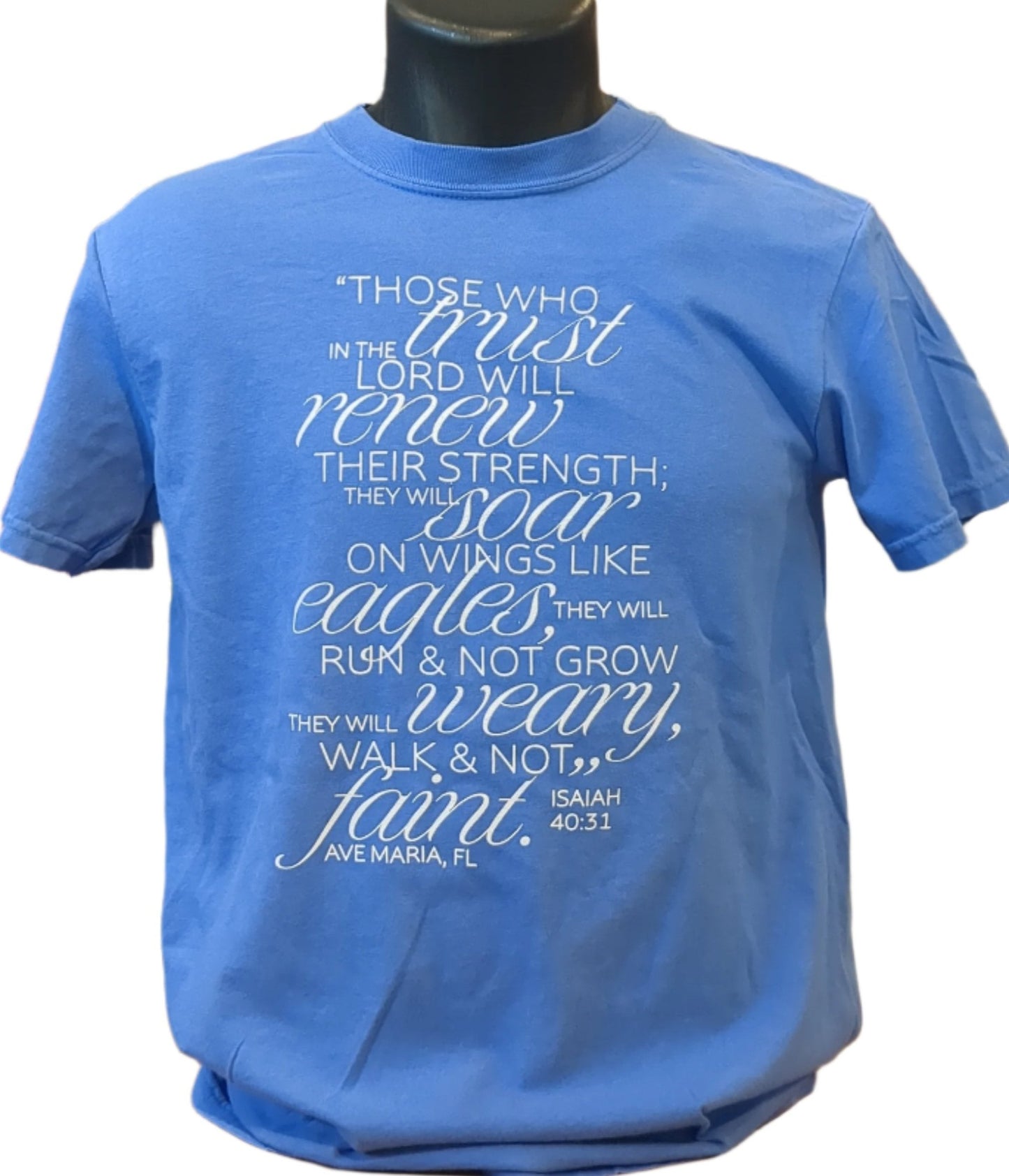 "Those who Trust in the Lord" Is 40:31 - Comfort Colors