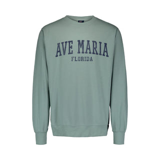 Ave Maria Florida Fundamental Crewneck