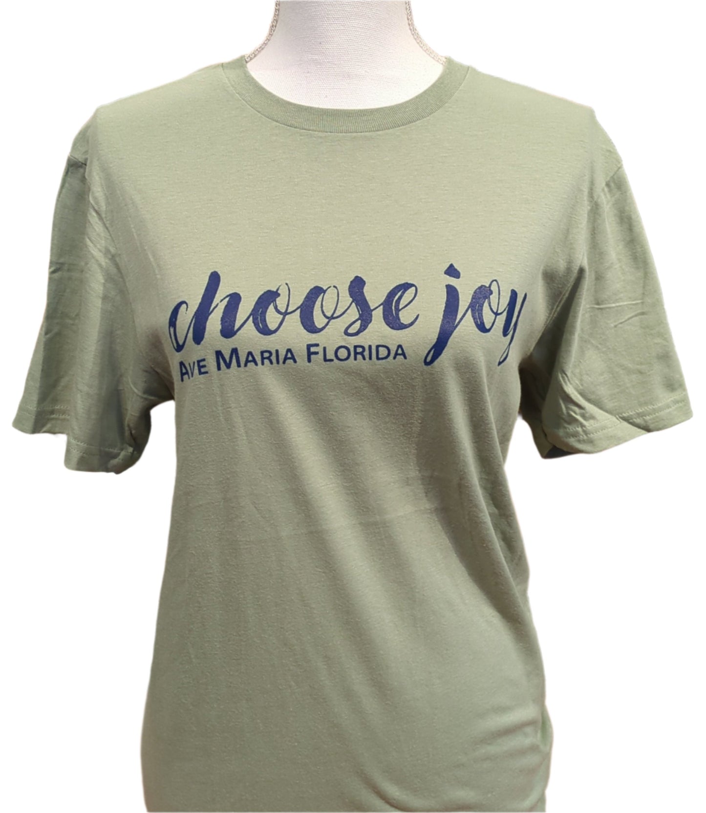 Choose Joy T-Shirt- Sage