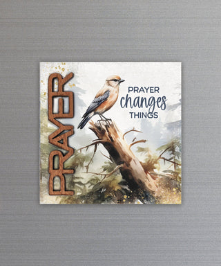 Dexsa Faith Magnets