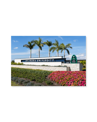 AMU Welcome Sign Postcard