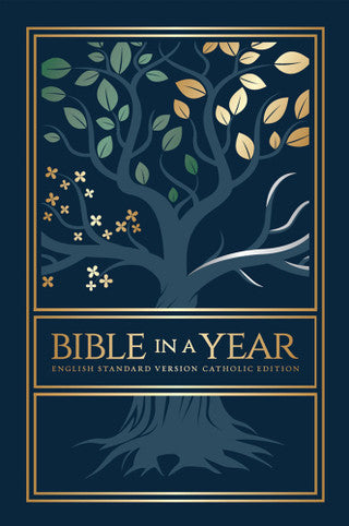 Bible in a Year: Your Daily Encounter with God
