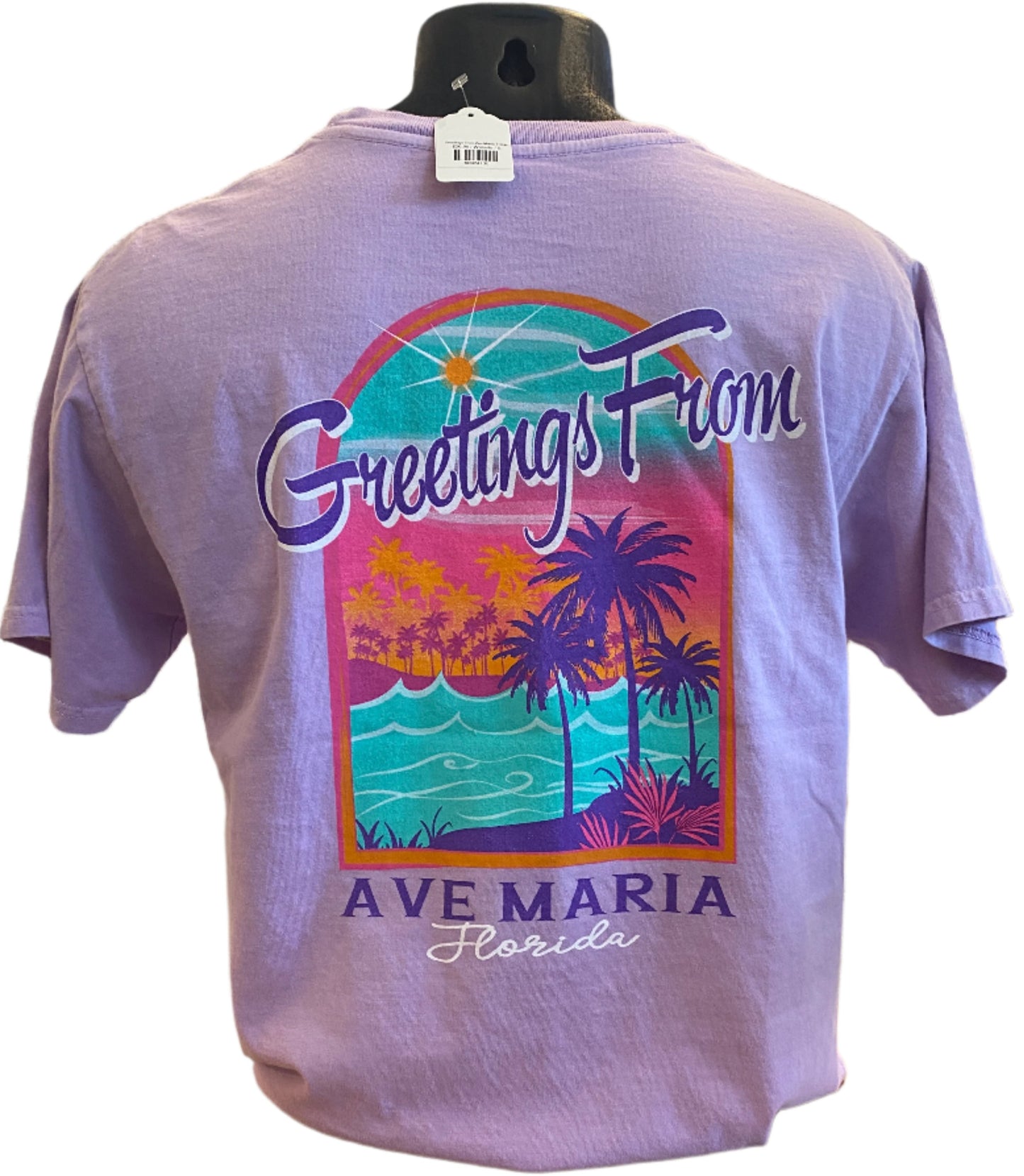 Greetings From Ave Maria T-Shirt