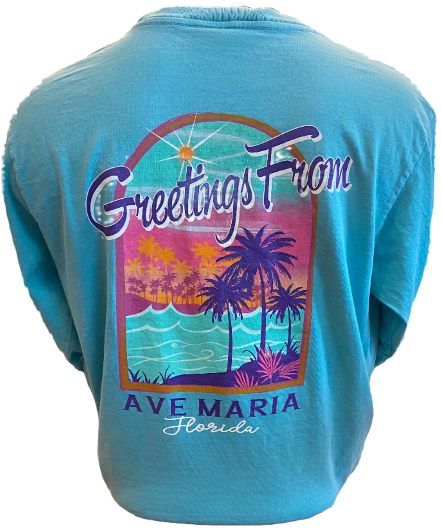 Greetings From Ave Maria Long Sleeve Shirt