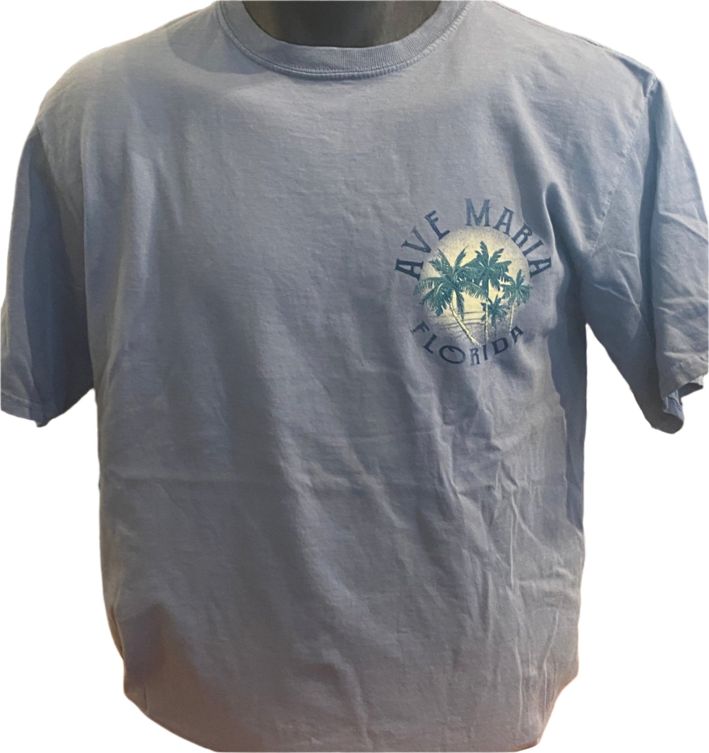 Ave Maria Florida - Paradise Found Since 2007 Palm Trees Tee