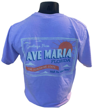 Greetings from The Sunshine State Tee- Blue84