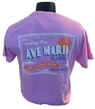 Greetings from The Sunshine State Tee- Blue84