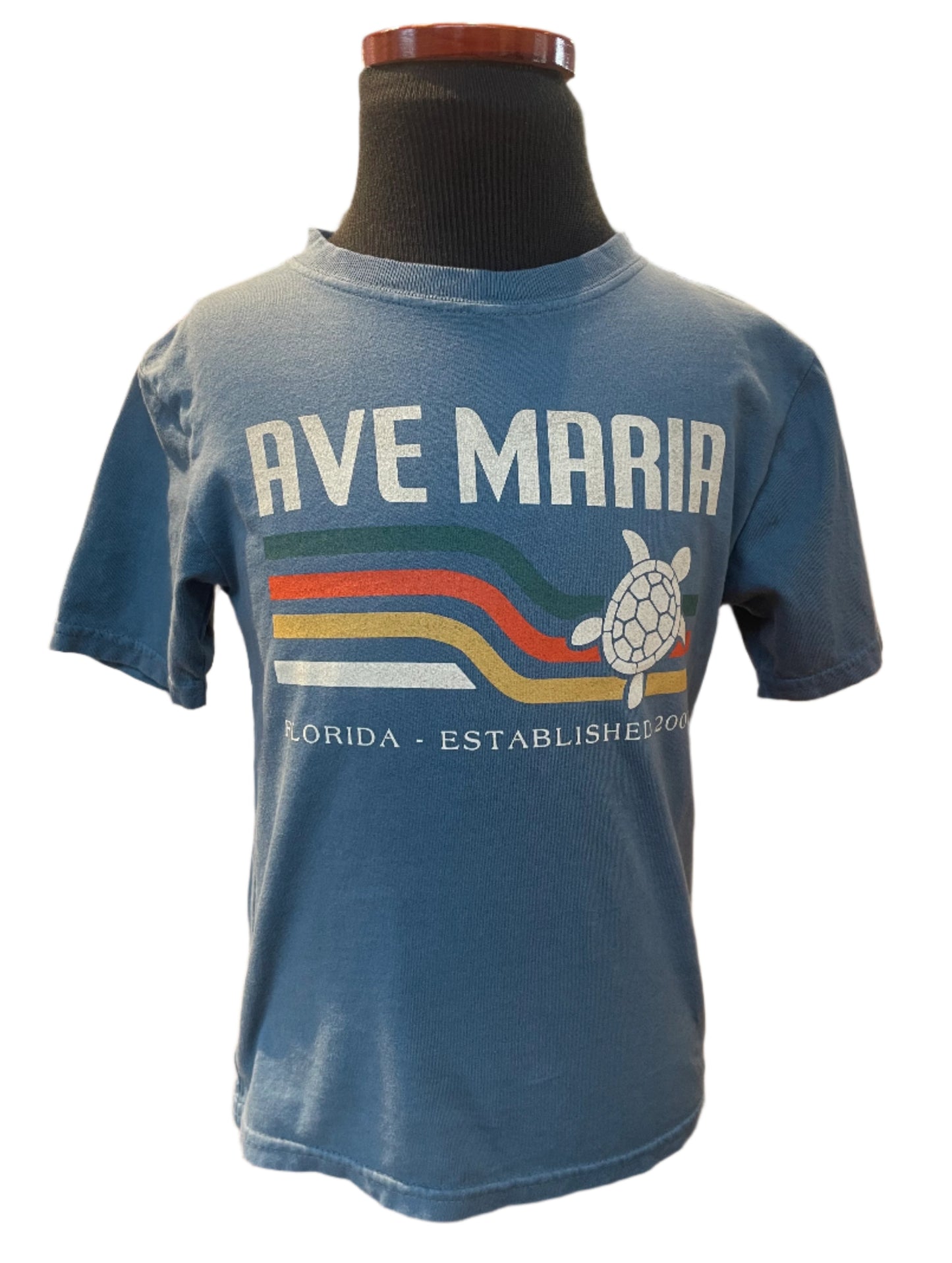 Retro Sea Turltle - Ave Maria FL - Youth Tees
