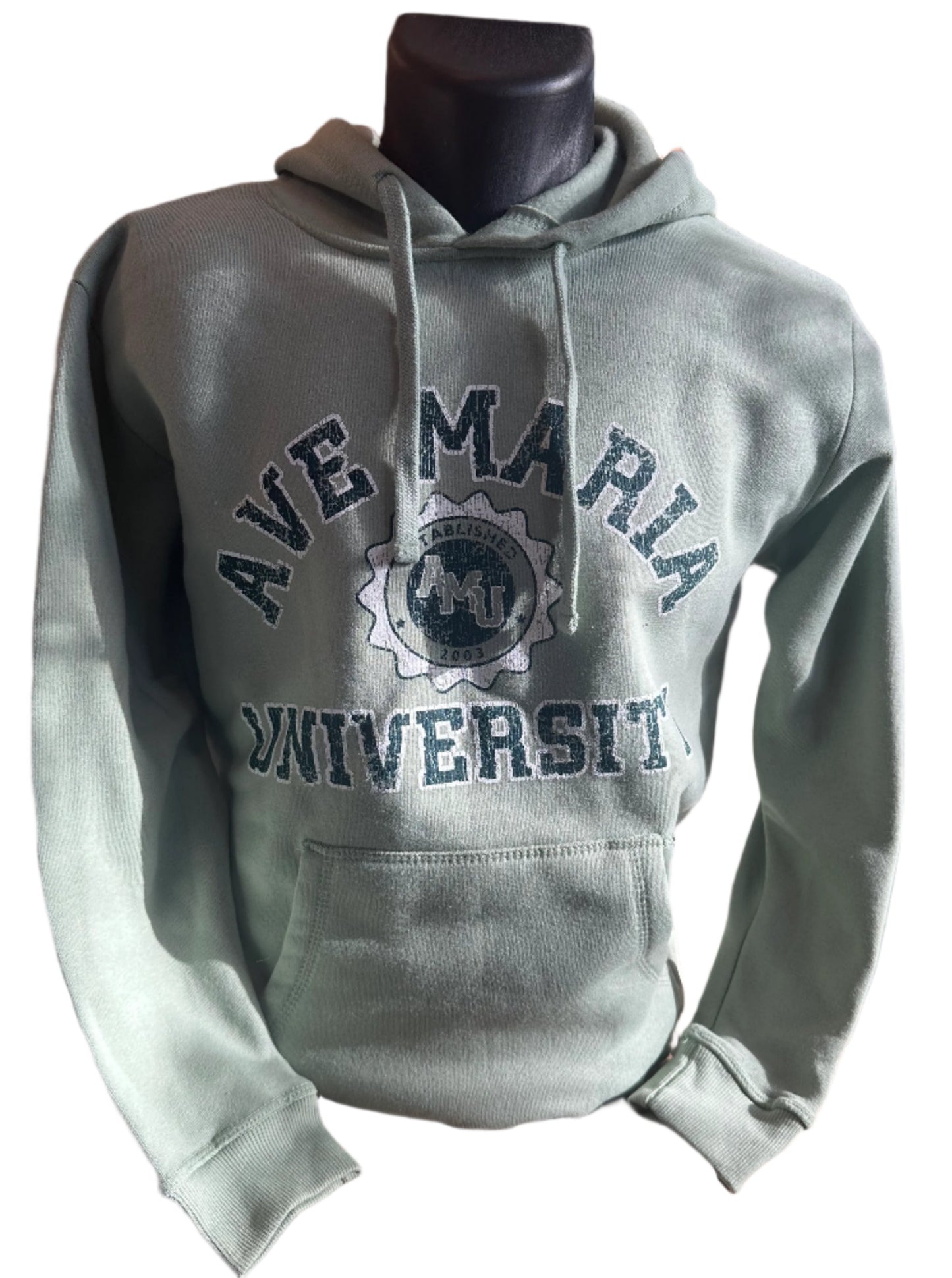 Ave Maria University Established in 2003 AMU Gyrenes Fleece Hoodie - Blue 84