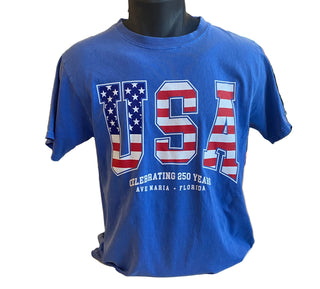 USA Flag 250 Year T-Shirt