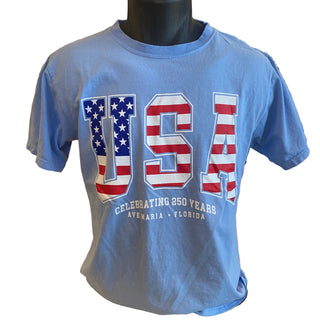 USA Flag 250 Year T-Shirt