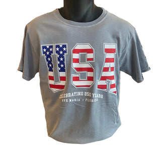 USA Flag 250 Year T-Shirt