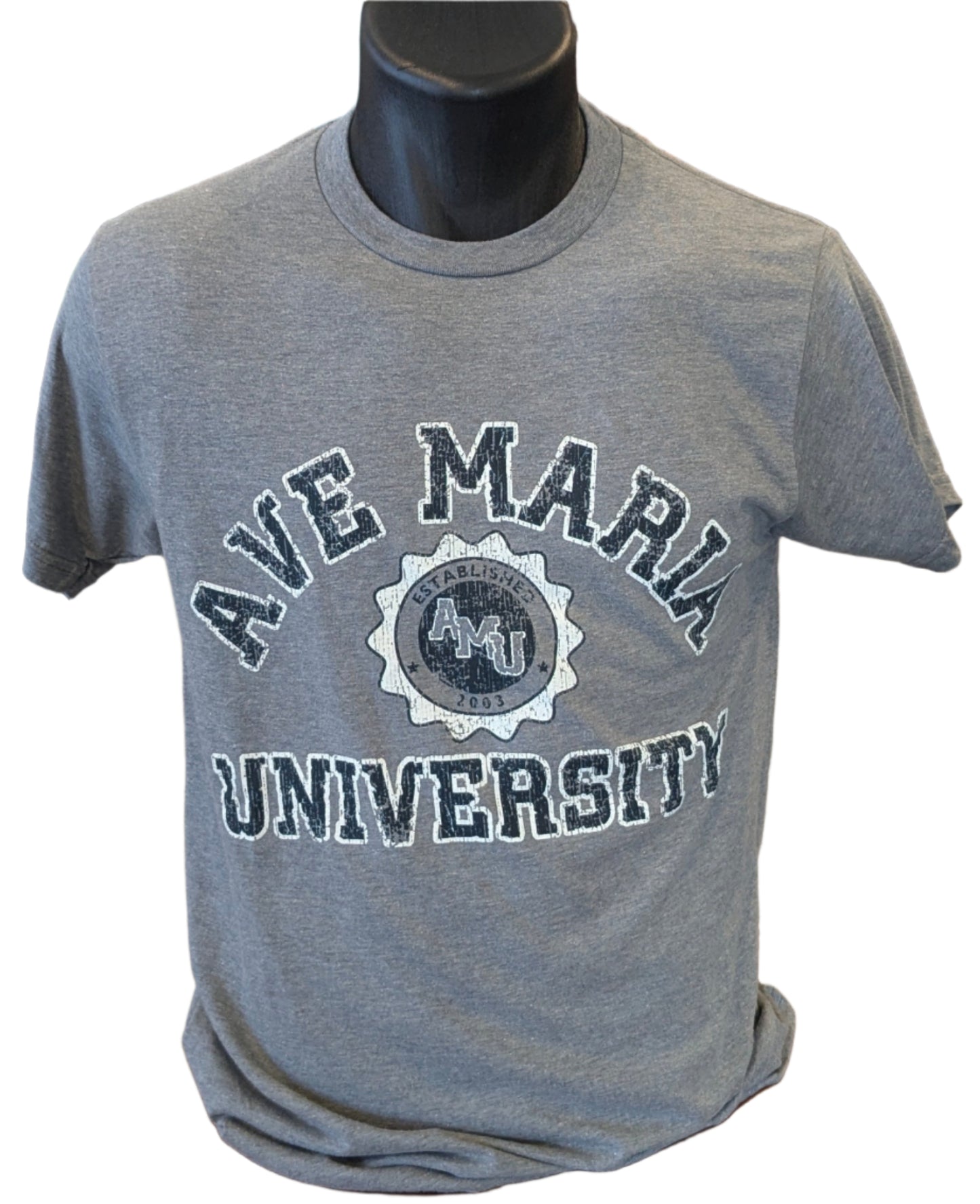 Ave Maria University Established in 2003 AMU Gyrenes Tee - Blue 84