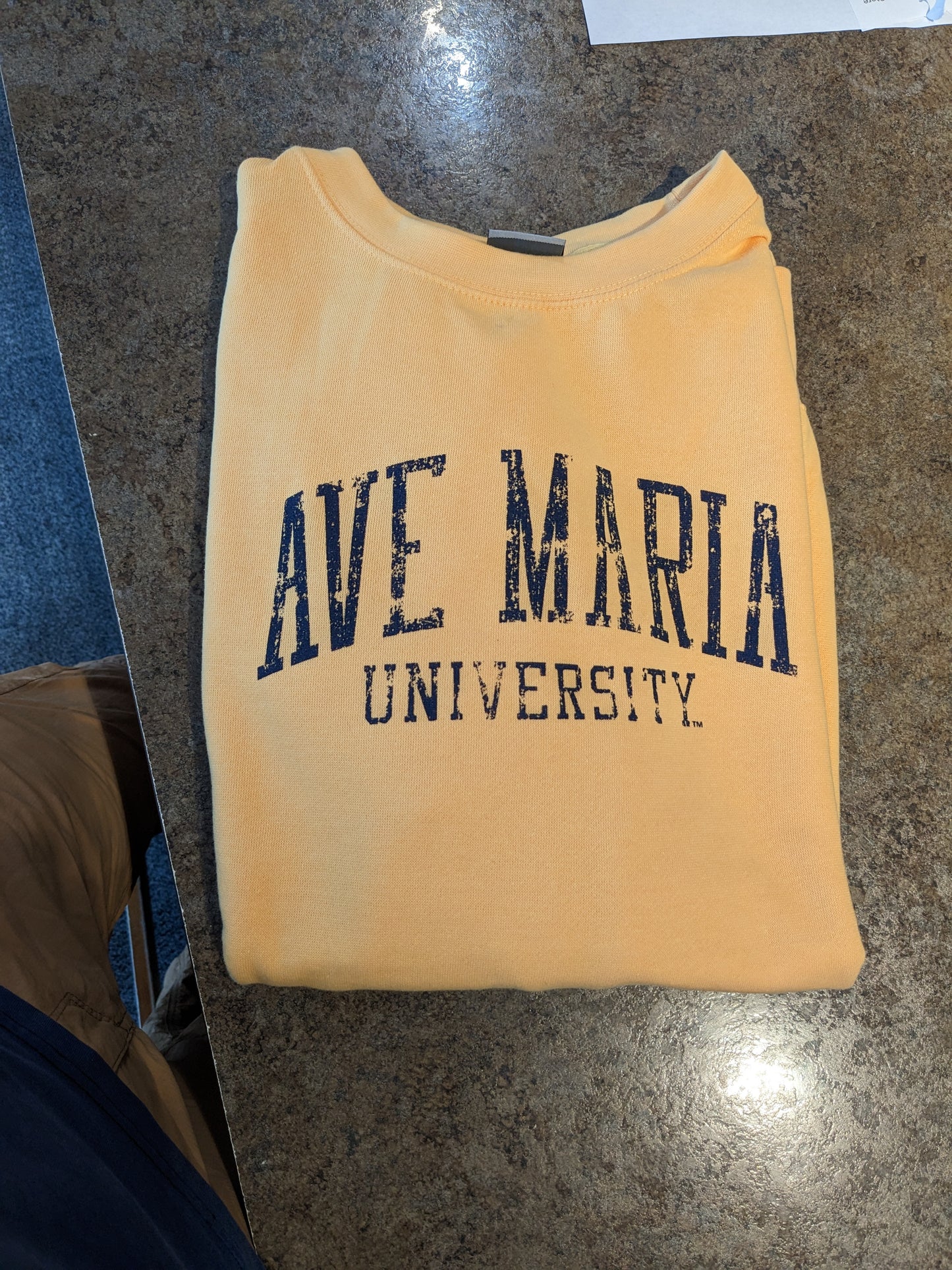 Ave Maria University Fundamental Crewneck