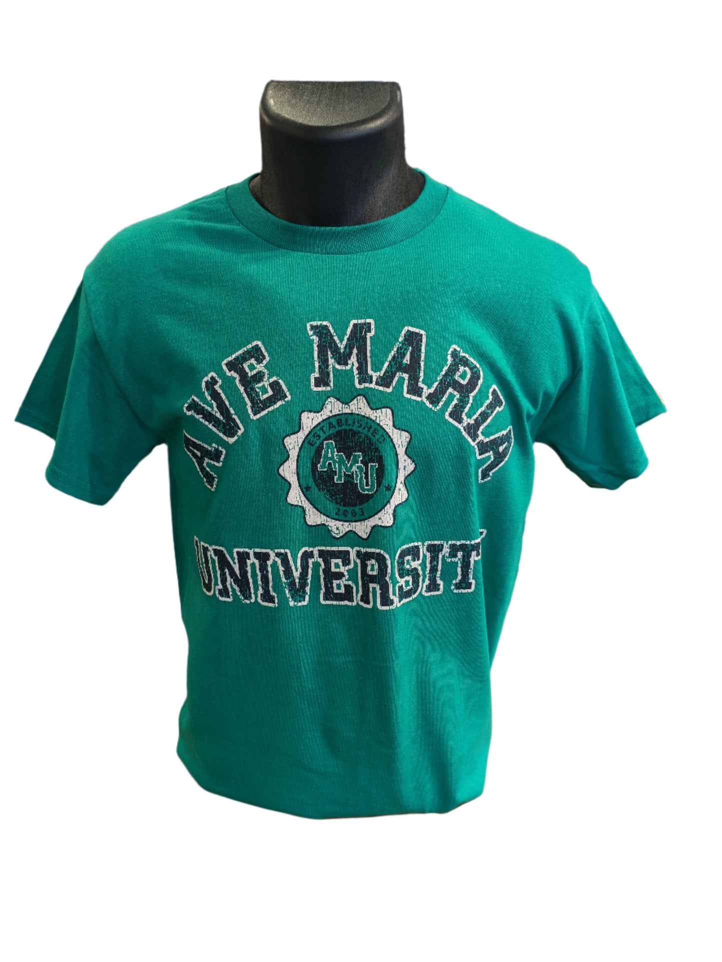 Ave Maria University Established in 2003 AMU Gyrenes Tee - Blue 84