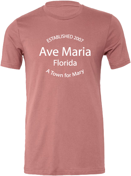 A Town For Mary Mauve Ladies T-Shirt-Bella Canvas