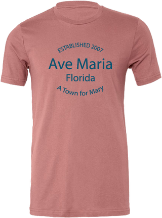 A Town for Mary - Orchid Tee - Bella Canva