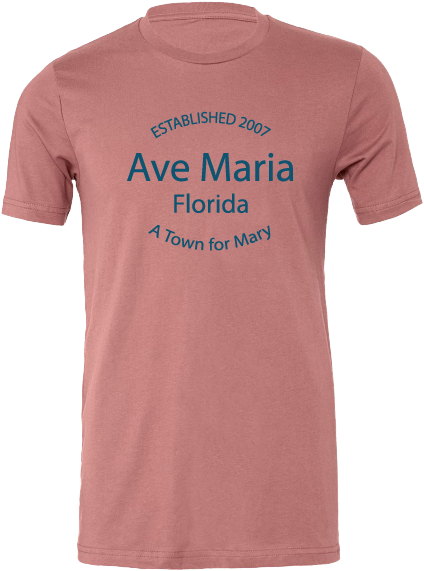 A Town for Mary - Orchid Tee - Bella Canva