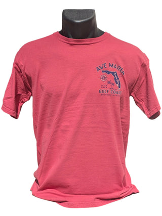 Ave Maria FL - Anchored in Faith Tee