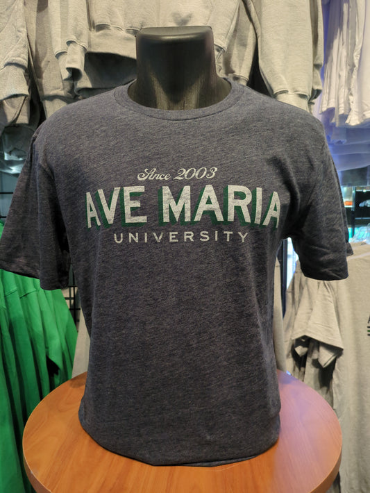 Ave Maria University - Comatose - Triblend Tee