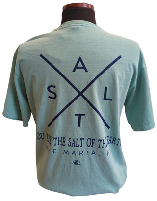 "You Are The Salt of the Earth" Short sleeve tee - Blue 84