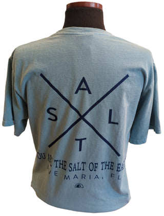 "You Are The Salt of the Earth" Short sleeve tee - Blue 84
