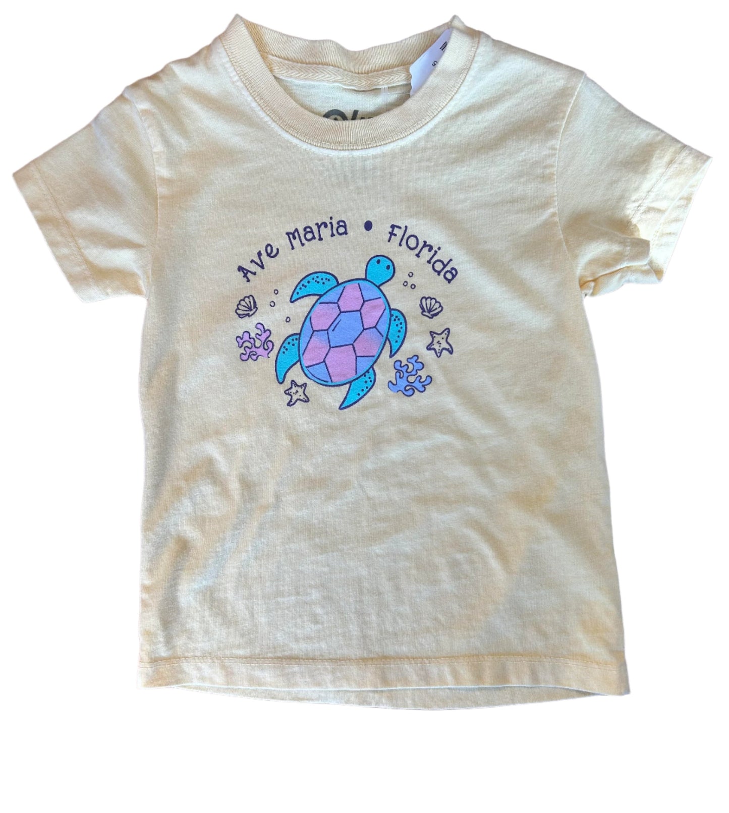 Ave Maria Florida Youth Turtle Tee - Blue 84