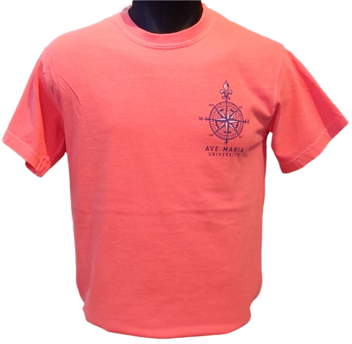 Ave Maria Florida Compass & Map Short Sleeve T-Shirt